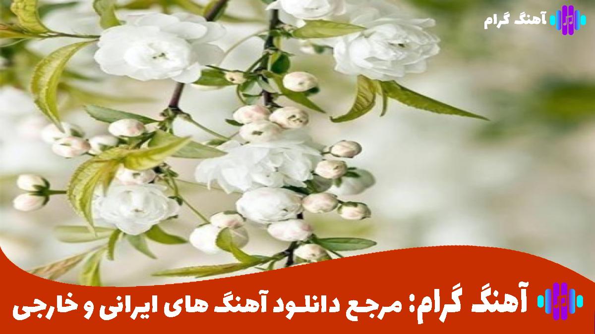 کاور آهنگ فریاد خاموش از اسماعیل یکا تتلو مهیاد سورنا پیشرو پیدار مهدیار تالادرو